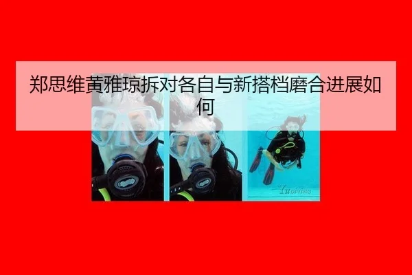 郑思维黄雅琼拆对各自与新搭档磨合进展如何